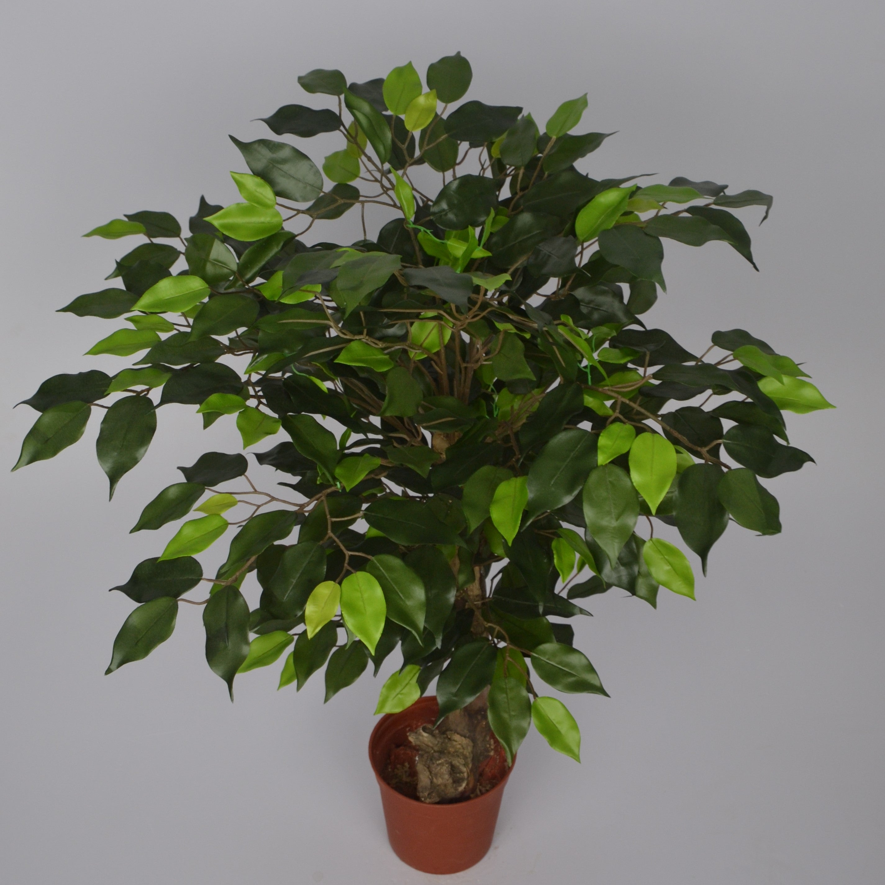 2 Ft Artificial Ficus Plant – Compact Faux Greenery with Realistic Leaves for Indoor Home, Office & Shelf Décor