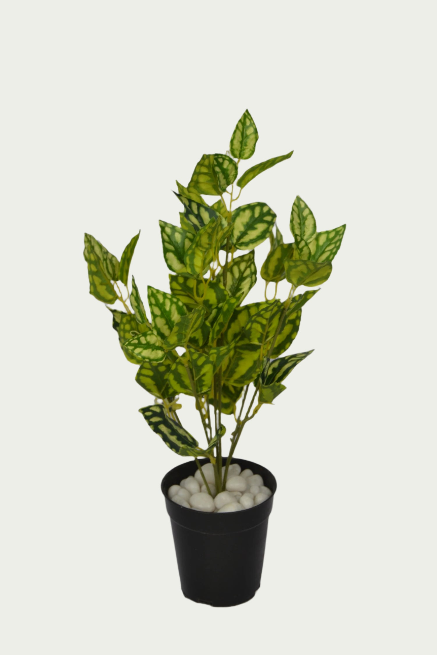 Stylish 2 Ft Watermelon Bush Premium Decorative Green Bush – Vibrant Decorative Plant for Home or Office – Shop Luxiplant featured in a modern interior setup.