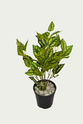 Decorative shot highlighting the unique design of 2 Ft Watermelon Bush Premium Decorative Green Bush – Vibrant Decorative Plant for Home or Office – Shop Luxiplant.