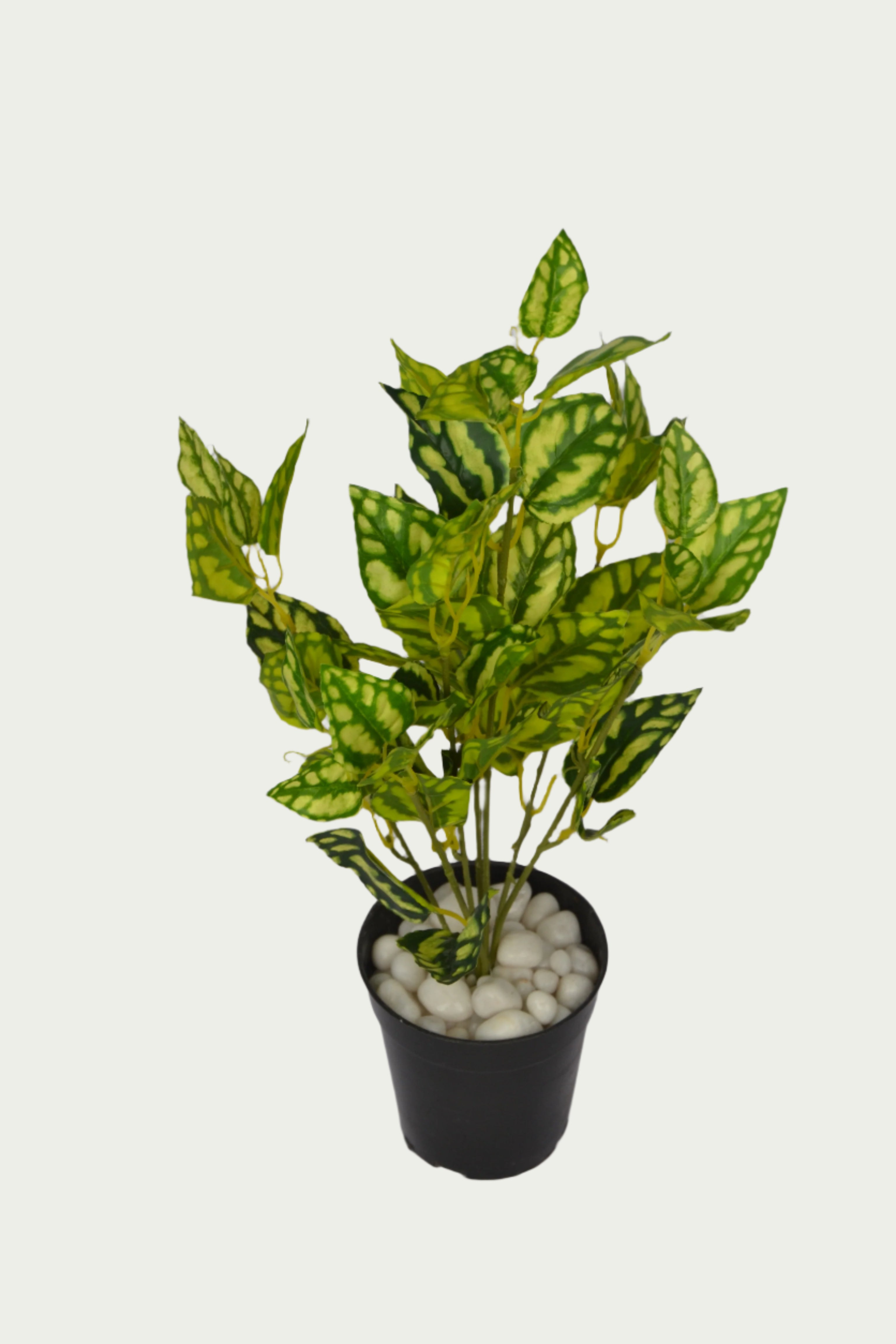 Decorative shot highlighting the unique design of 2 Ft Watermelon Bush Premium Decorative Green Bush – Vibrant Decorative Plant for Home or Office – Shop Luxiplant.