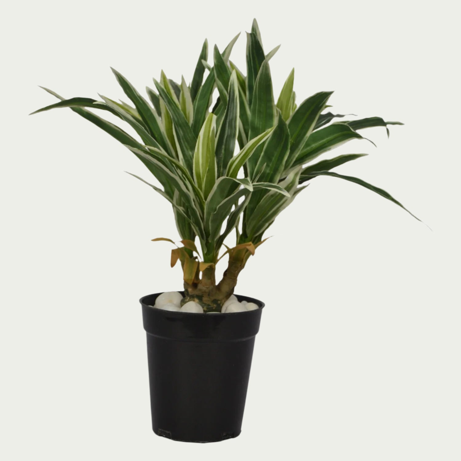 1 Ft Dracaena Leaves Bunch Contemporary Lush Green Accent – Vibrant Decorative Plant for Home or Office – Shop Luxiplant on display with vibrant artificial foliage and lifelike features.