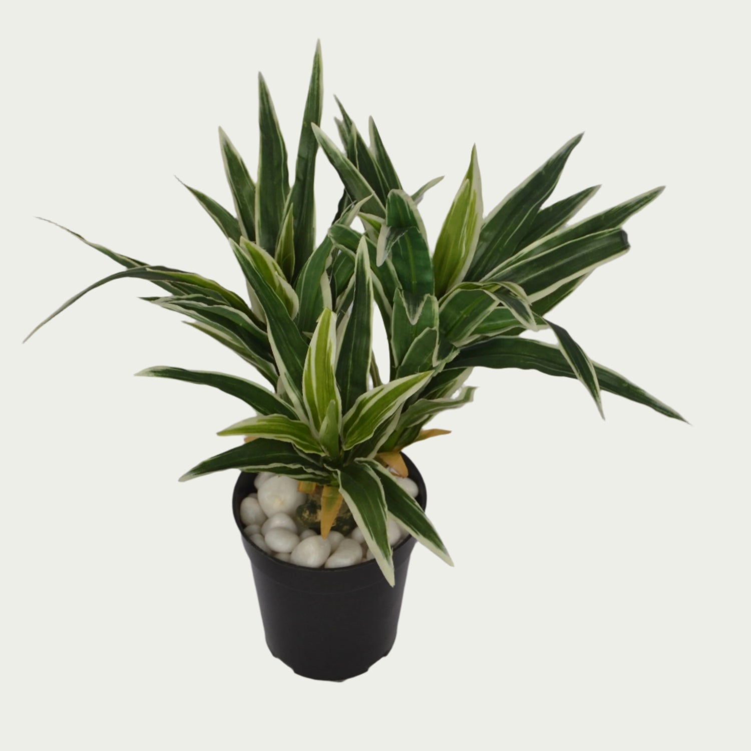 Indoor ambiance created with 1 Ft Dracaena Leaves Bunch Contemporary Lush Green Accent – Vibrant Decorative Plant for Home or Office – Shop Luxiplant – elegant and lush.
