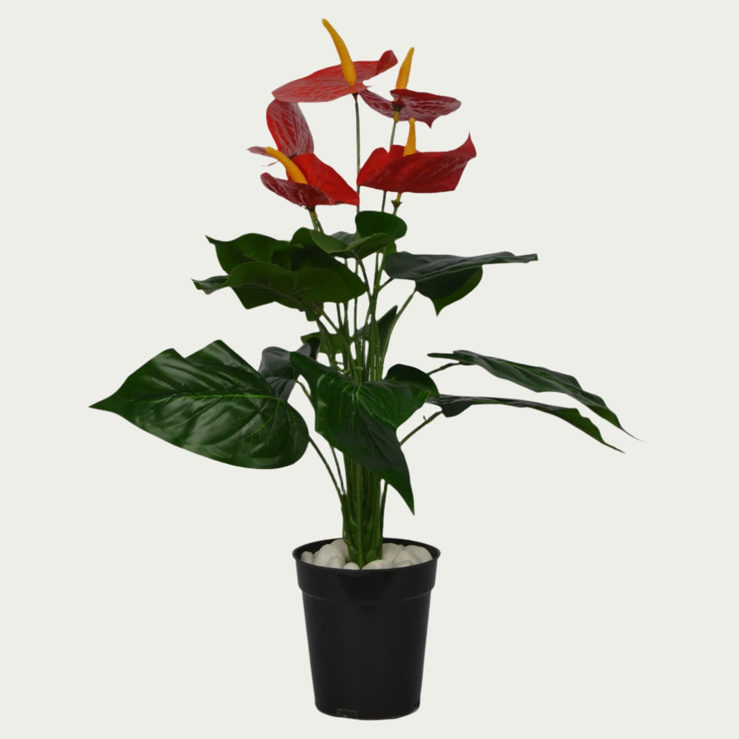 Detailed view of 2 Ft Anthurium Medium Bush Low-Maintenance Indoor Greenery – Elegant Faux Greenery for Any Setting – Shop Luxiplant showing realistic textures and colors.