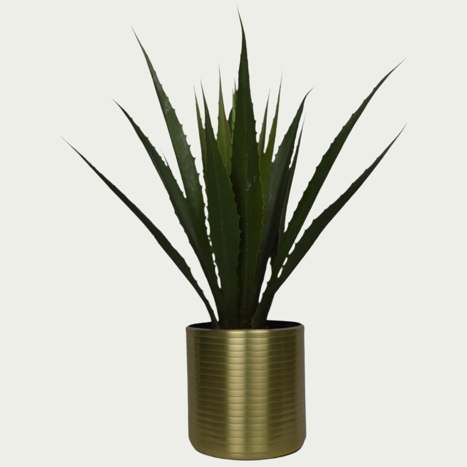 {} resting near a chair in an inviting reading nook