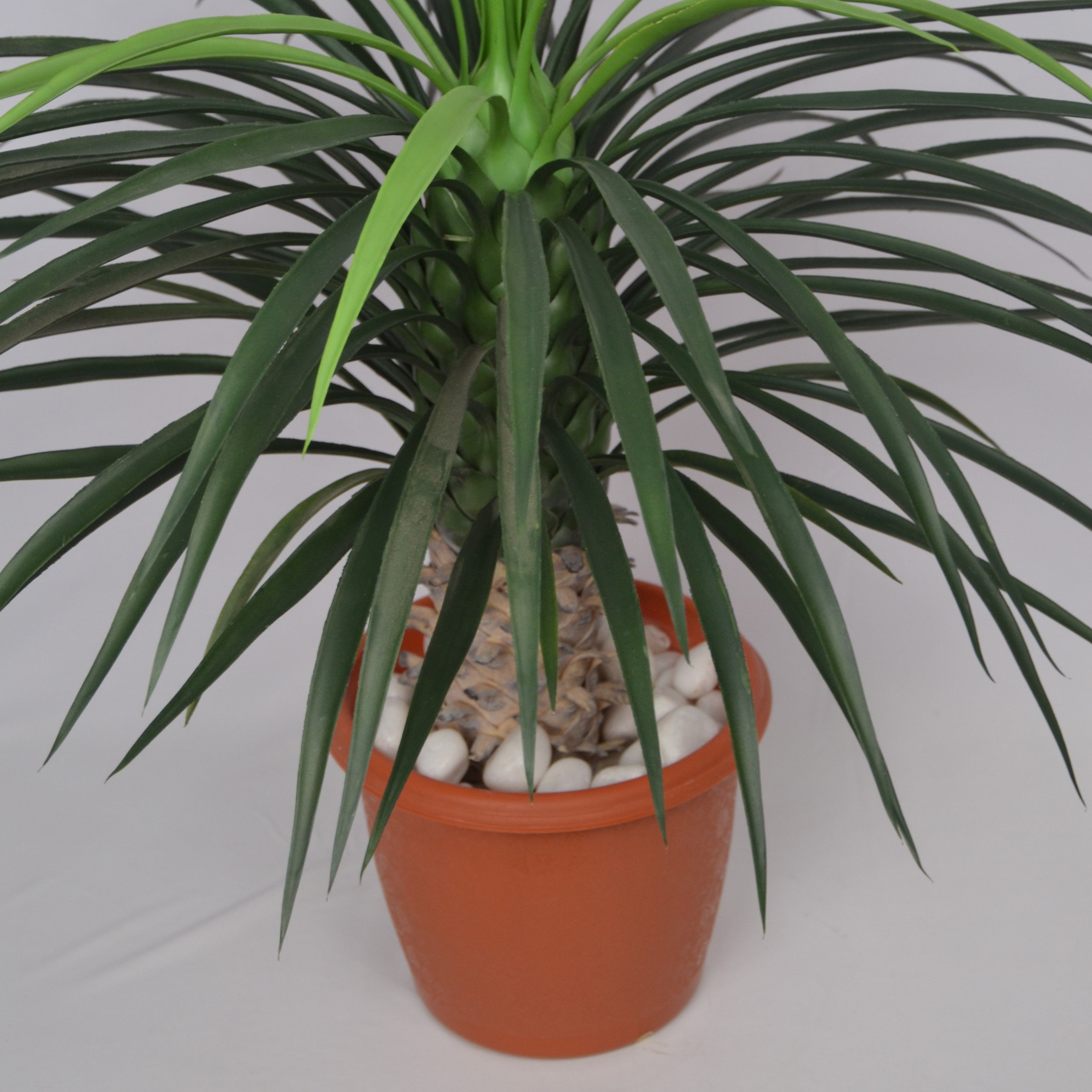 3 Ft Artificial Dracaena Plant – Lifelike Faux Greenery with Two-Tone Leaves for Indoor Home, Office & Tabletop Décor
