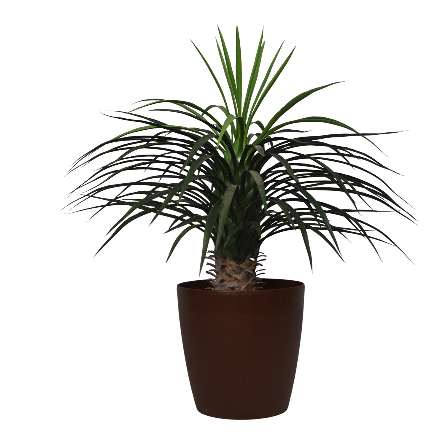 3 Ft Artificial Dracaena Plant – Lifelike Faux Greenery with Two-Tone Leaves for Indoor Home, Office & Tabletop Décor