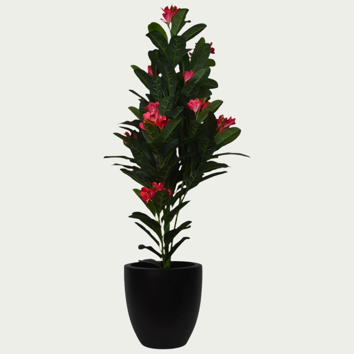 Bright leaves of {} playing with indoor shadows (variation)