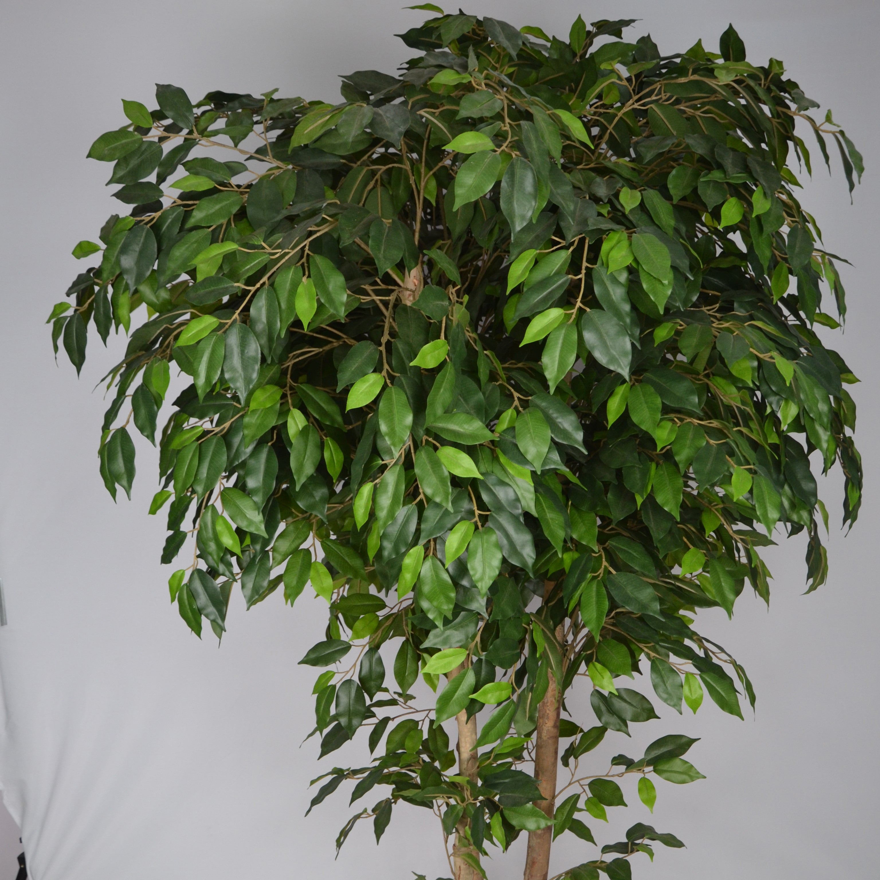 5 Ft Artificial Ficus Plant – Tall Faux Indoor Tree with Realistic Trunk & Dense Green Leaves for Home, Office & Living Room Décor