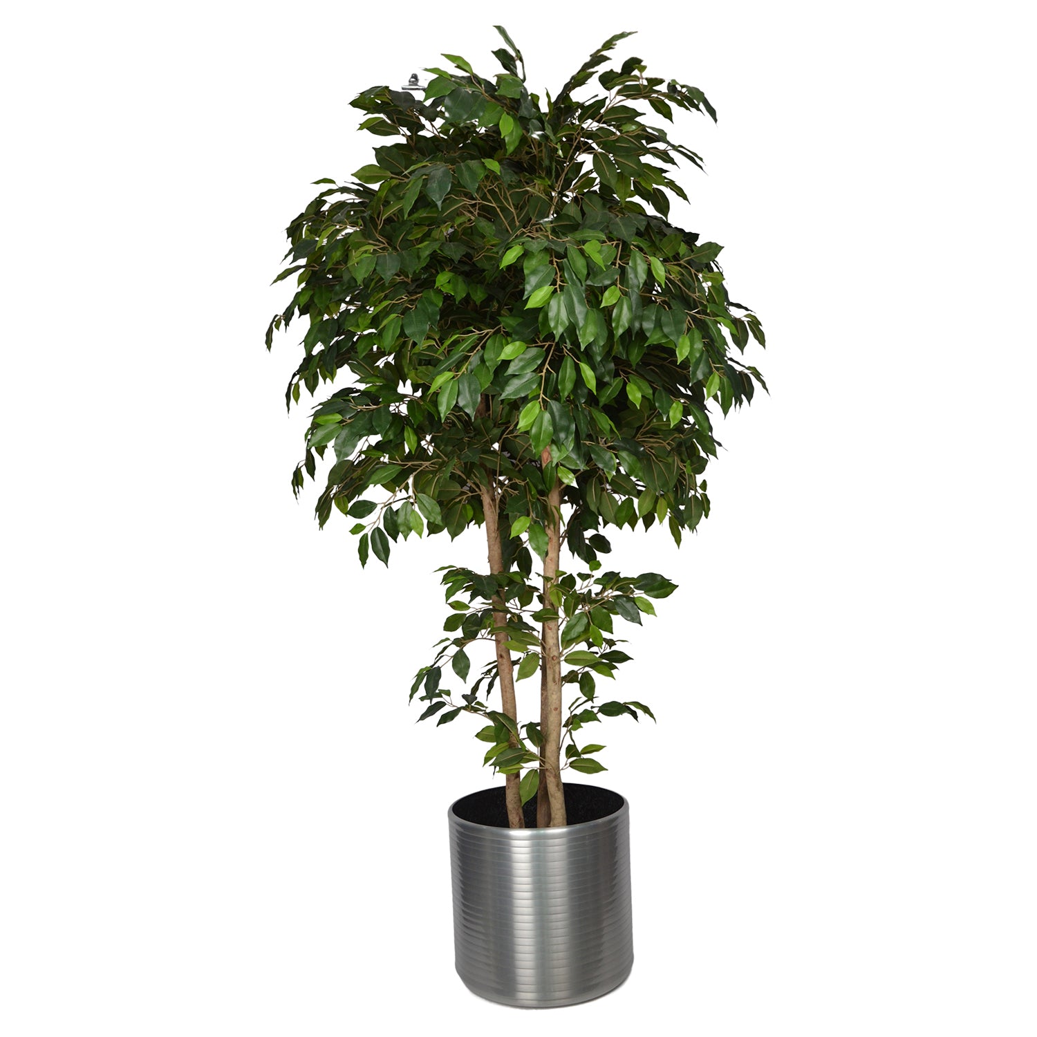 5 Ft Artificial Ficus Plant – Tall Faux Indoor Tree with Realistic Trunk & Dense Green Leaves for Home, Office & Living Room Décor
