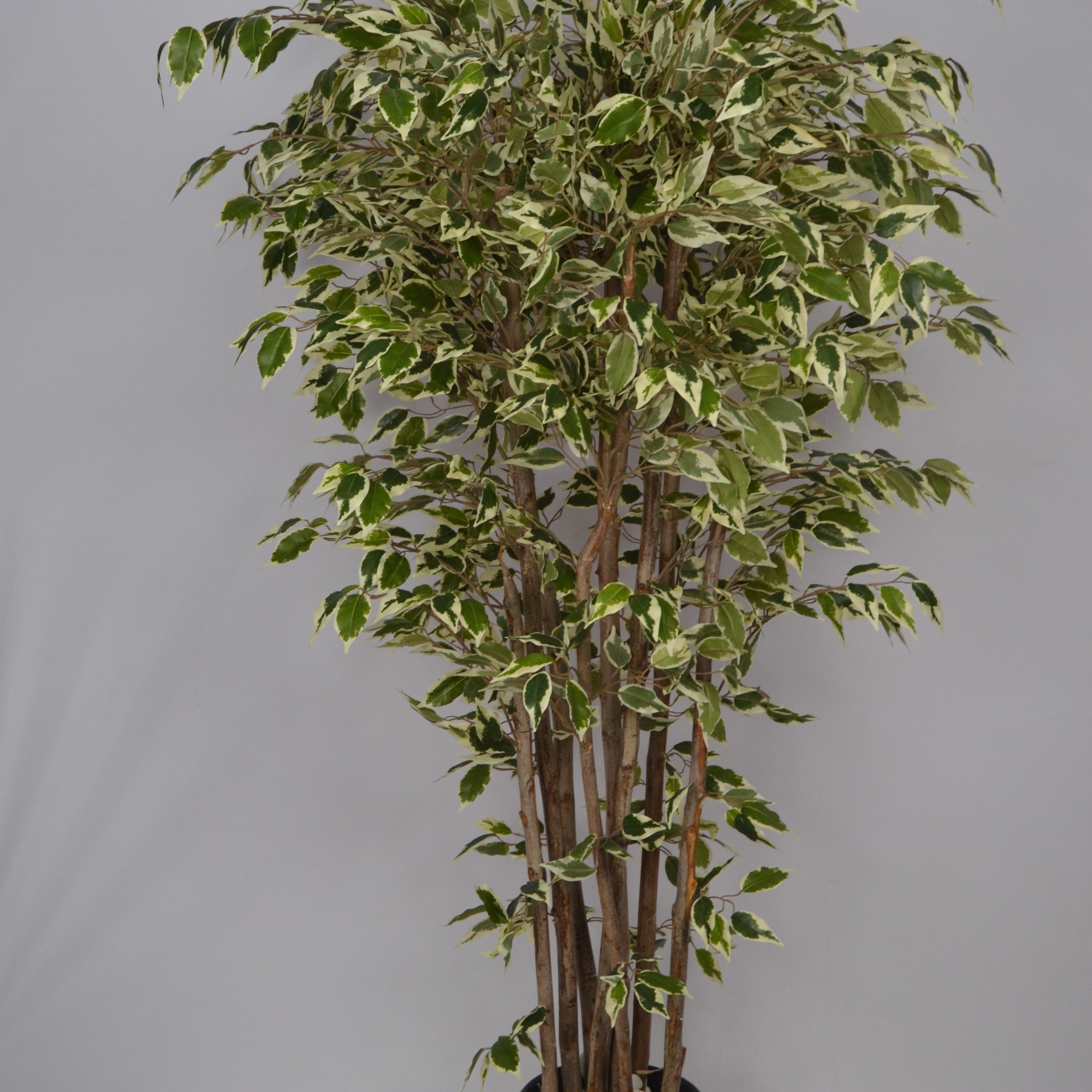 5 Ft Artificial Ficus Plant – Tall Lifelike Faux Tree with Dense Green Leaves for Indoor Home, Office & Corner Décor