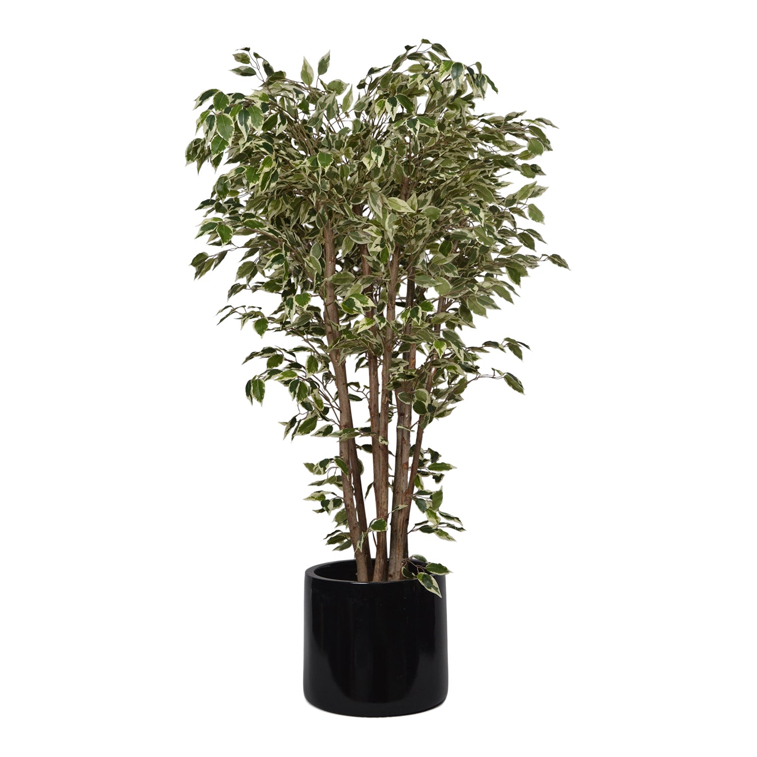 5 Ft Artificial Ficus Plant – Tall Lifelike Faux Tree with Dense Green Leaves for Indoor Home, Office & Corner Décor