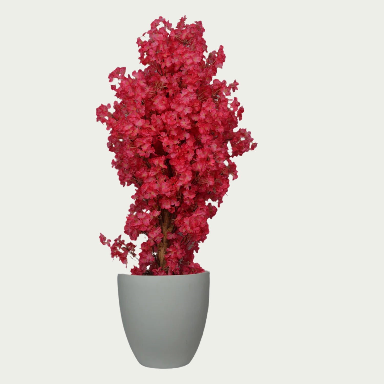 {} resting near a chair in an inviting reading nook (variation)