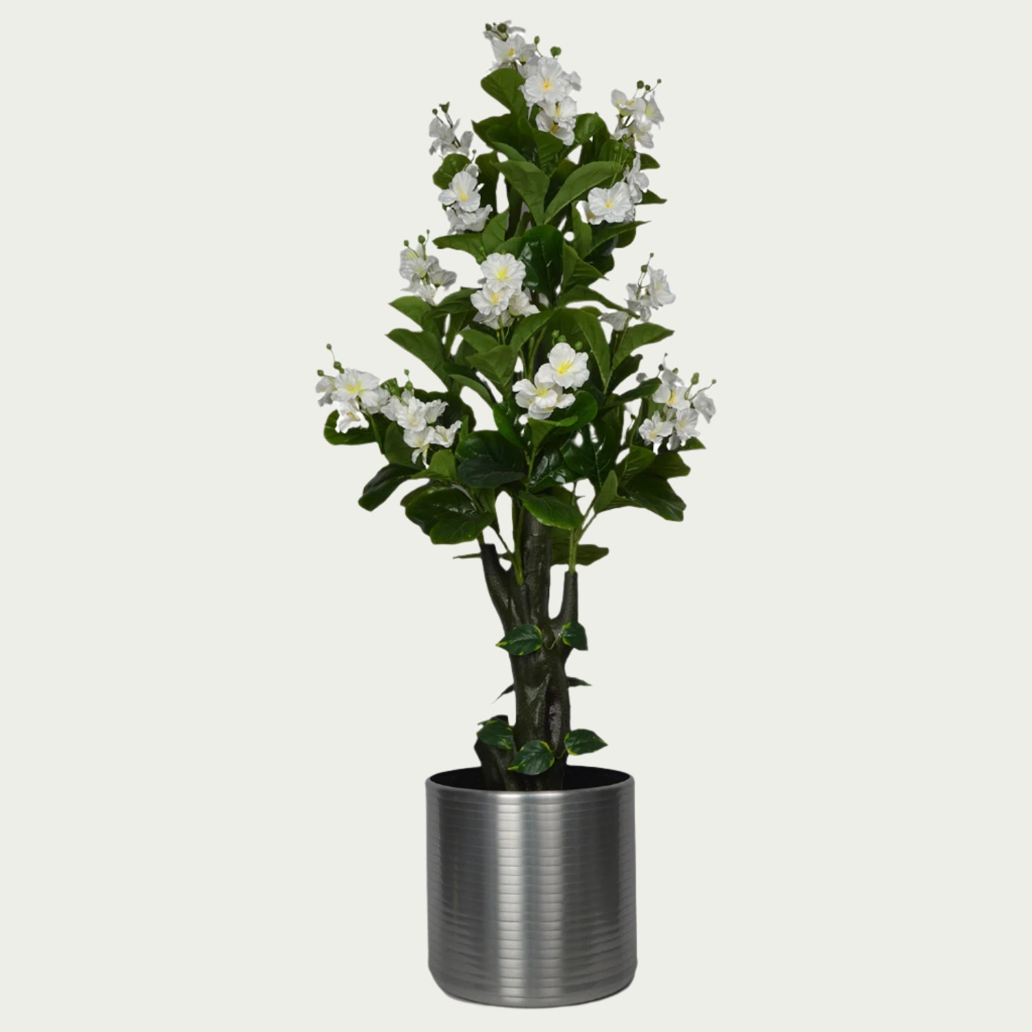 Up-close view of {} leaves showing veining and texture (variation)