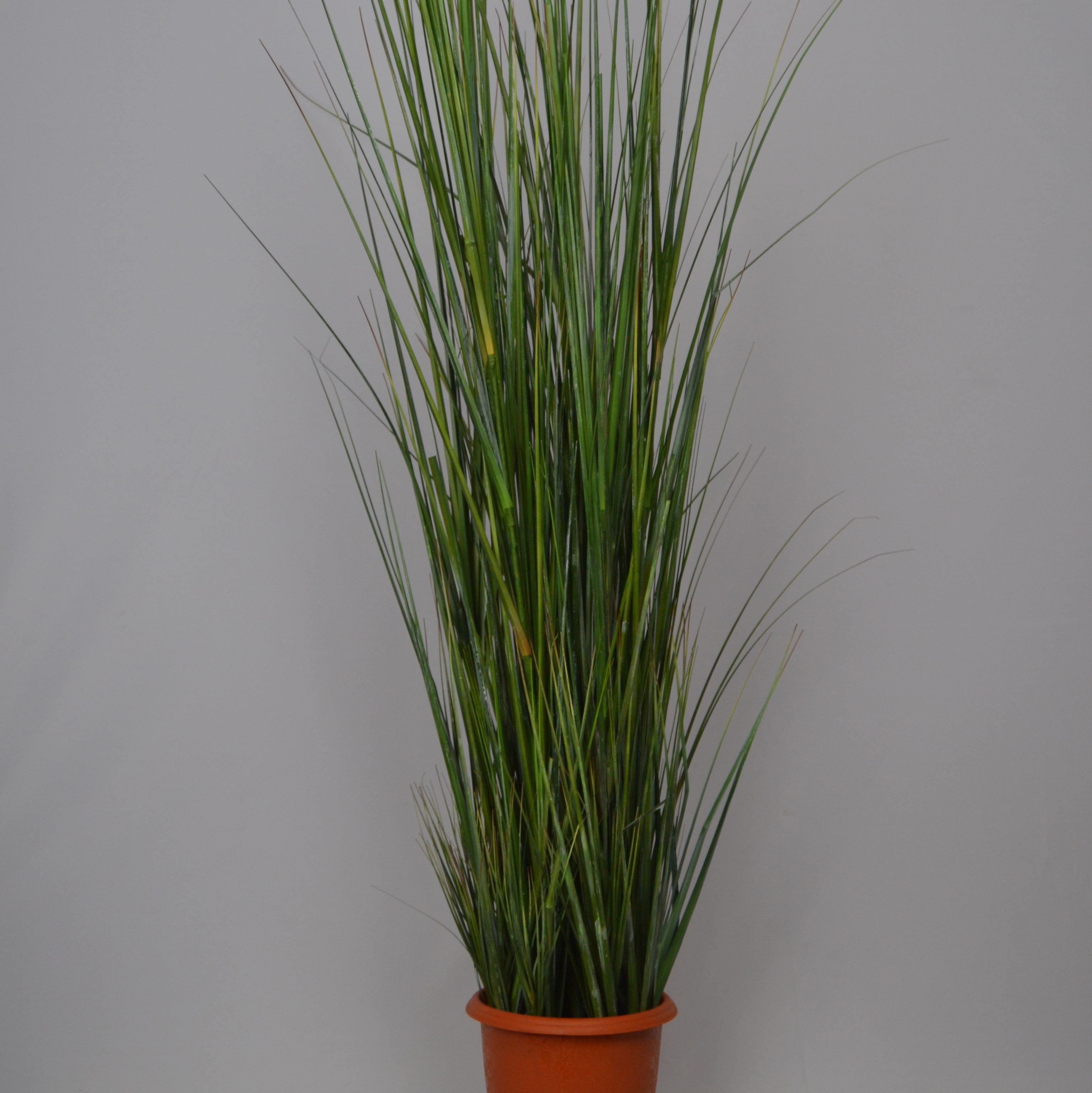 5 Ft Artificial Grass Plant – Tall Faux Greenery with Natural-Looking Blades for Indoor Home, Office & Modern Décor