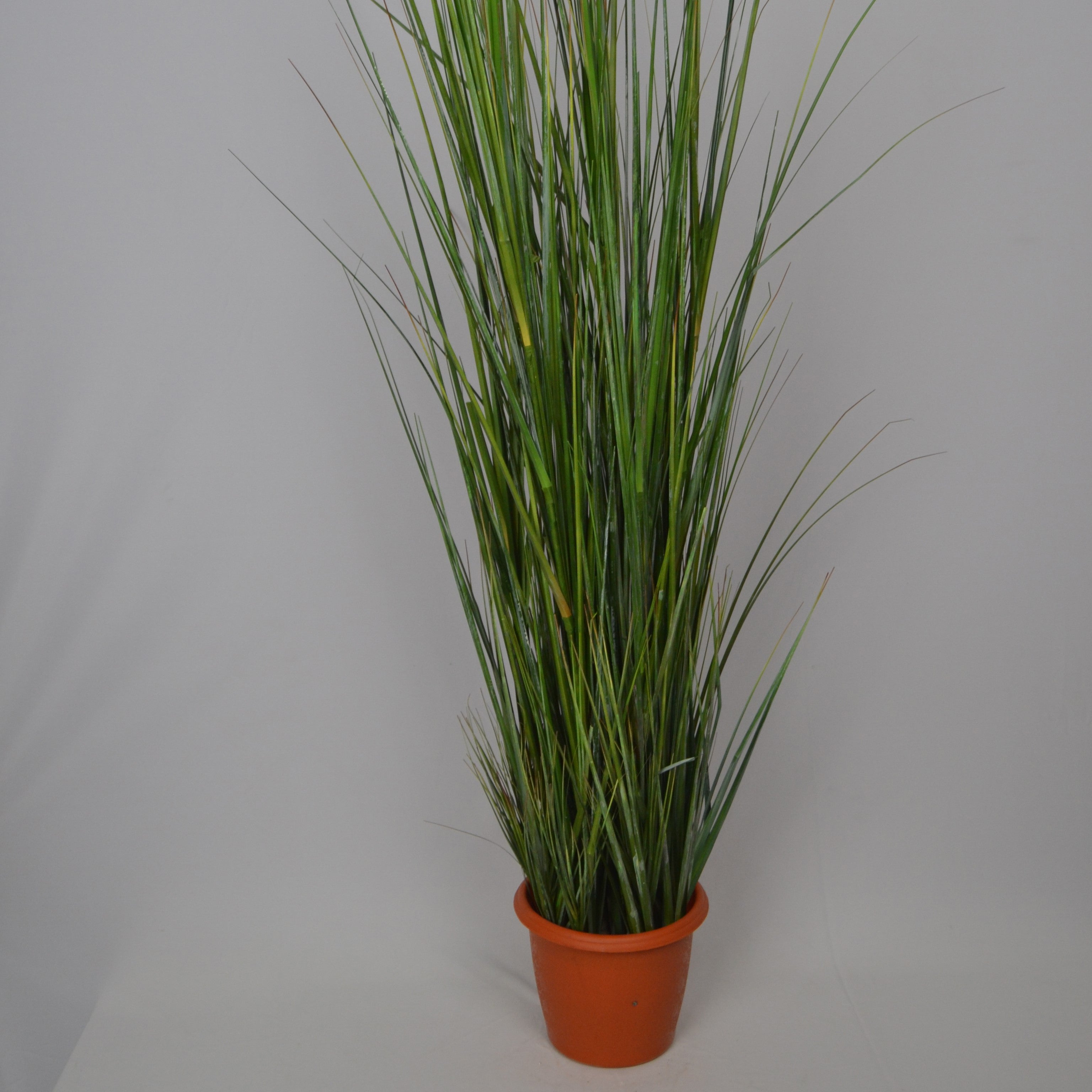 5 Ft Artificial Grass Plant – Tall Faux Greenery with Natural-Looking Blades for Indoor Home, Office & Modern Décor