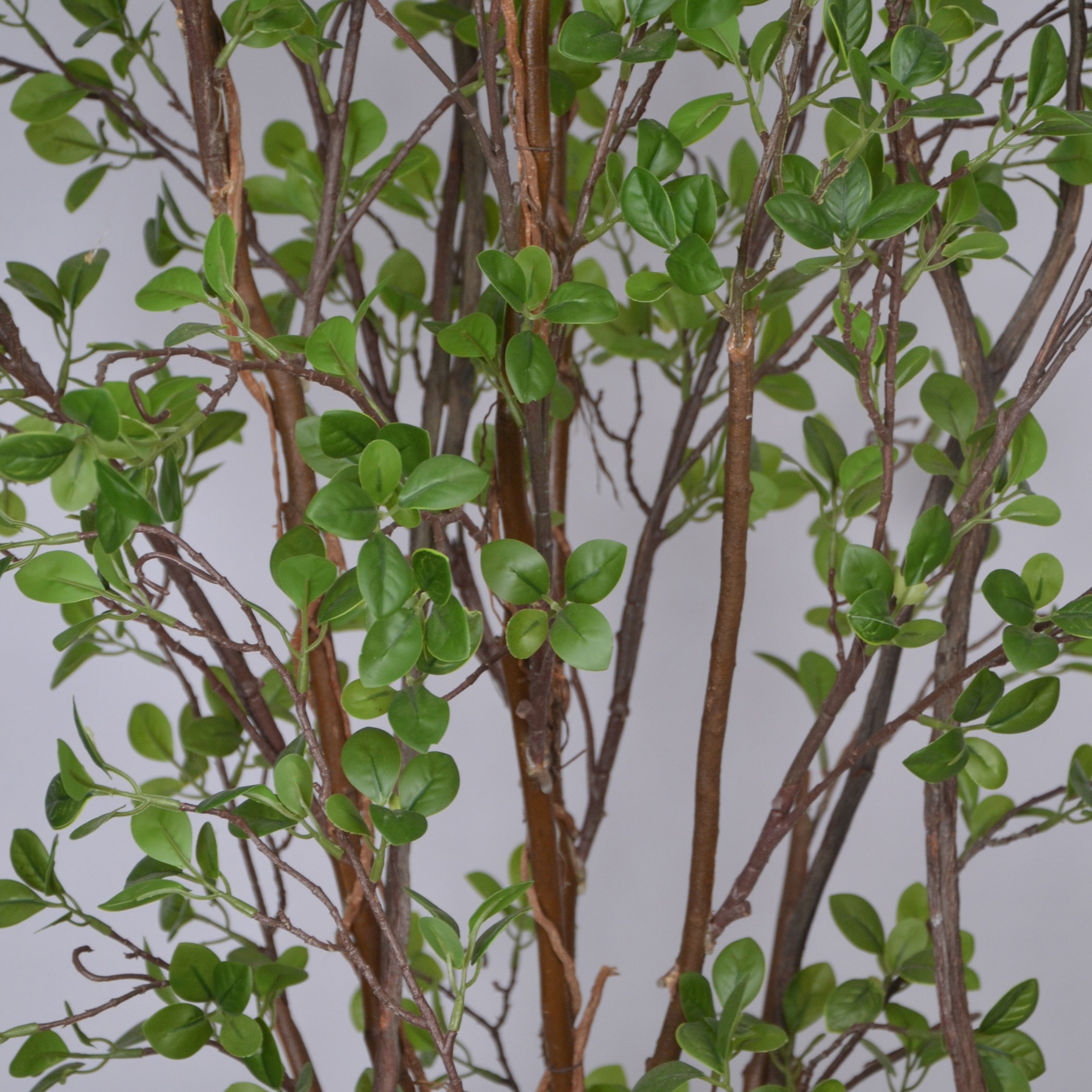 5 Ft Artificial Branching Topiary Plant – Natural-Looking Faux Tree with Delicate Green Leaves for Indoor Home, Office & Corner Décor