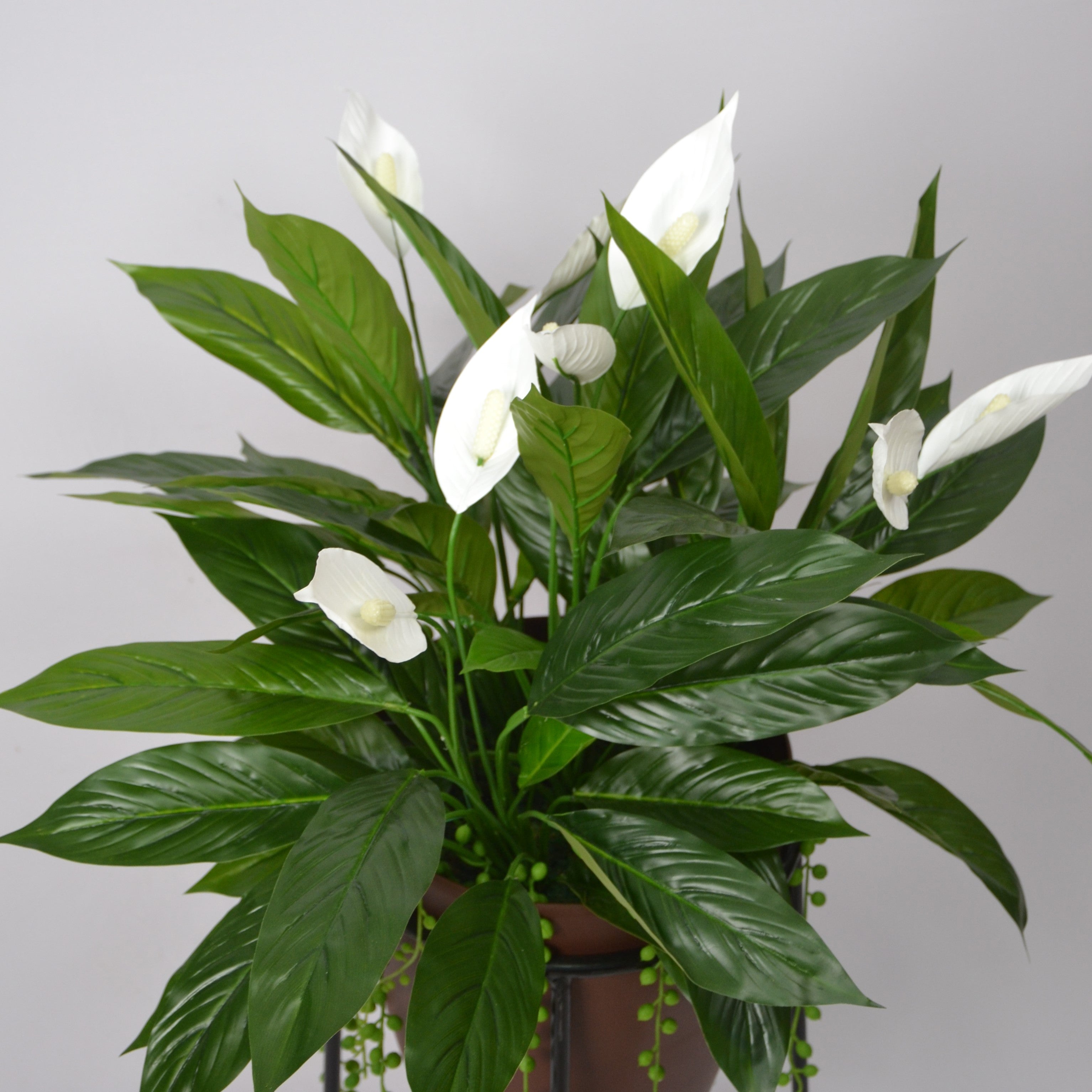 3 Ft Artificial Spathiphyllum Plant Arrangement – Realistic Peace Lily with White Blooms & Green Foliage (Pot Not Included) for Home & Office Décor