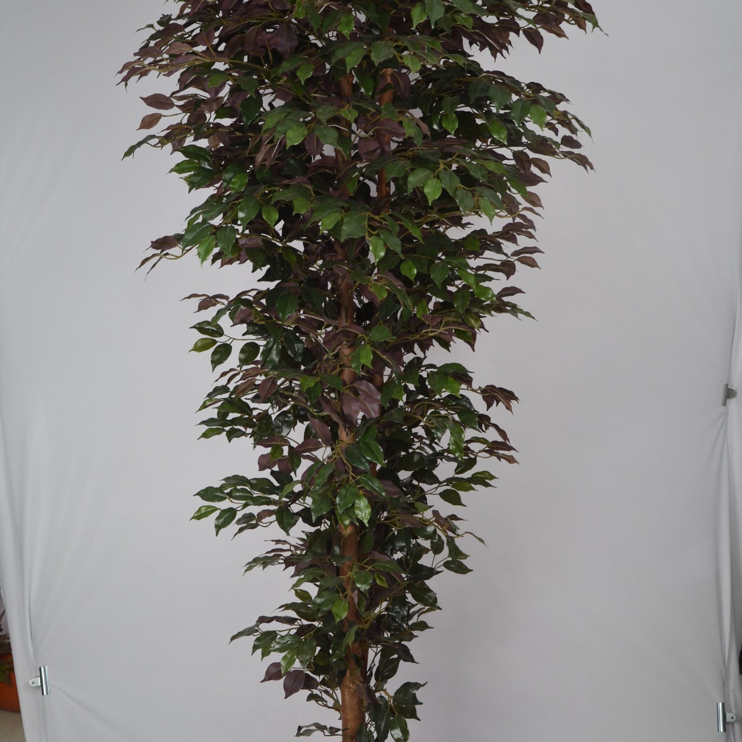 7 Ft Artificial Ficus Plant – Extra Tall Faux Tree with Realistic Green Leaves & Natural Trunk for Large Indoor Home, Office & Lobby Décor