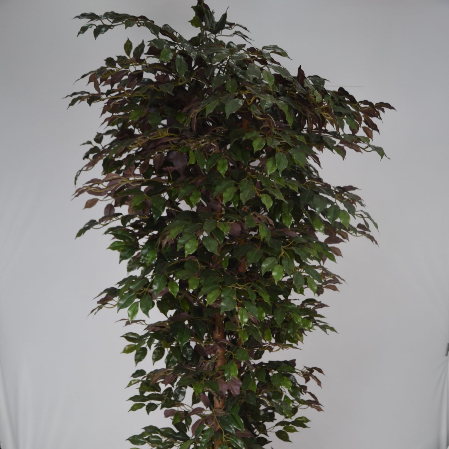 7 Ft Artificial Ficus Plant – Extra Tall Faux Tree with Realistic Green Leaves & Natural Trunk for Large Indoor Home, Office & Lobby Décor