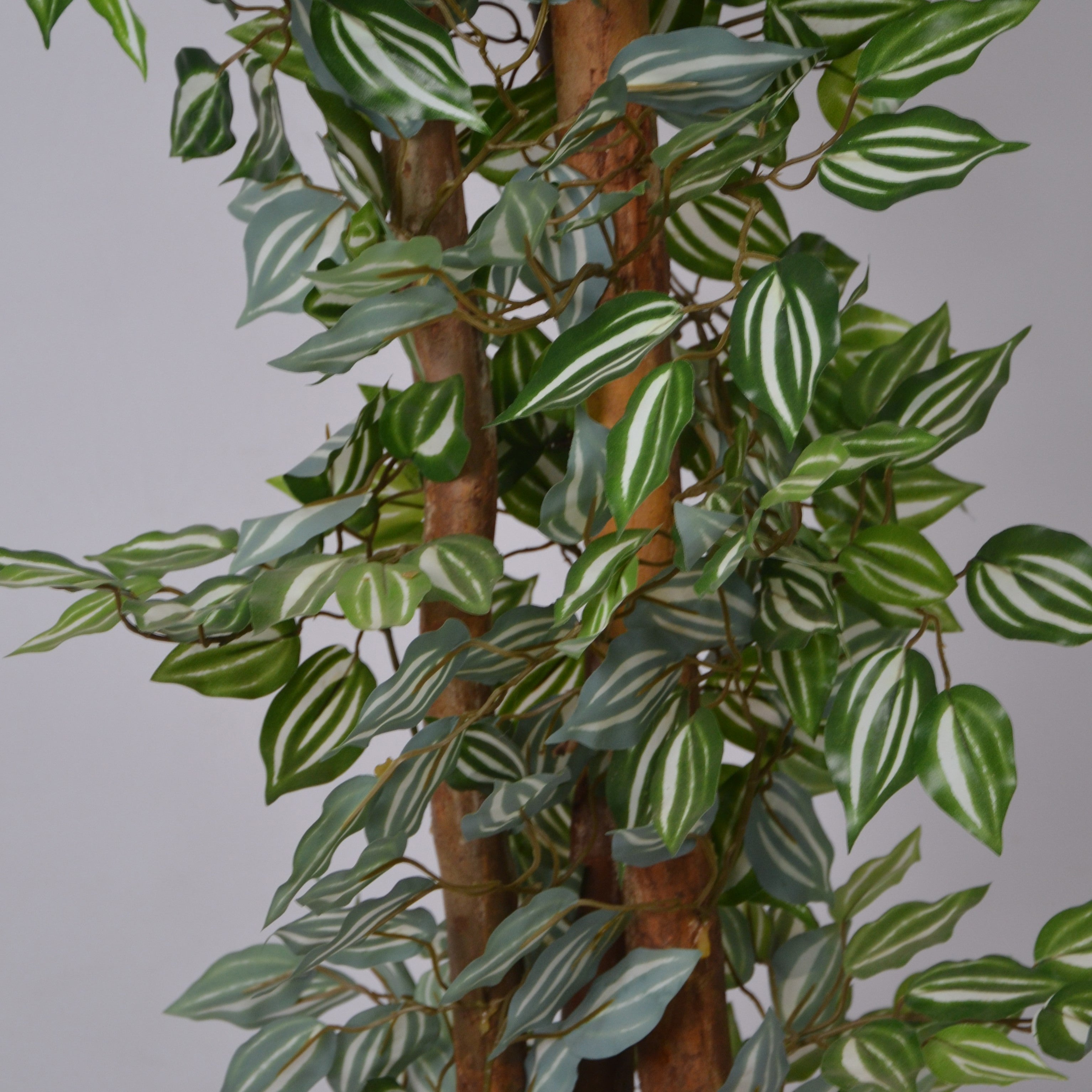 5 Ft Artificial Ficus Plant – Realistic Faux Indoor Tree with Natural Green Leaves for Home, Office & Living Room Décor