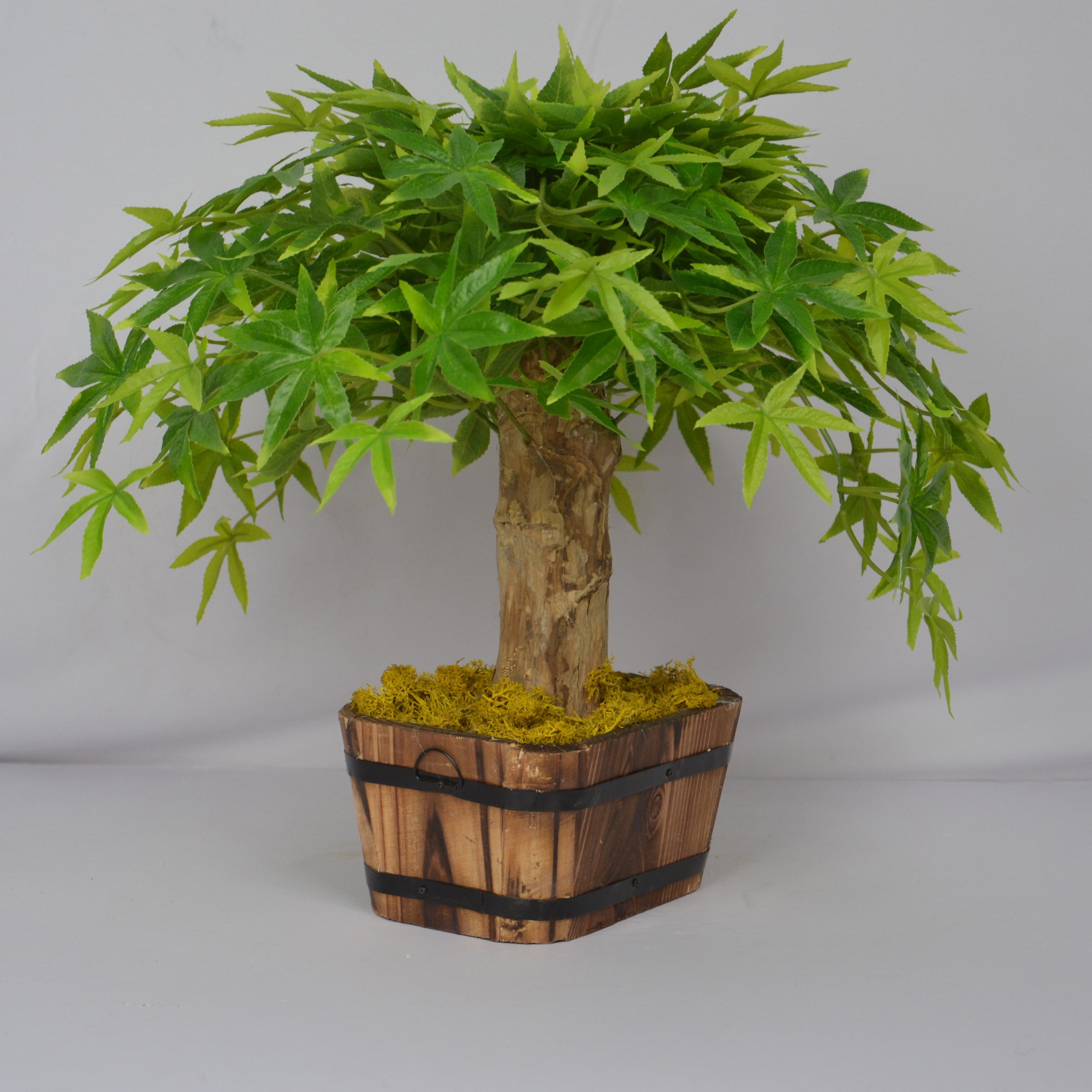 Artificial bonsai tree in a wooden pot on a plain background