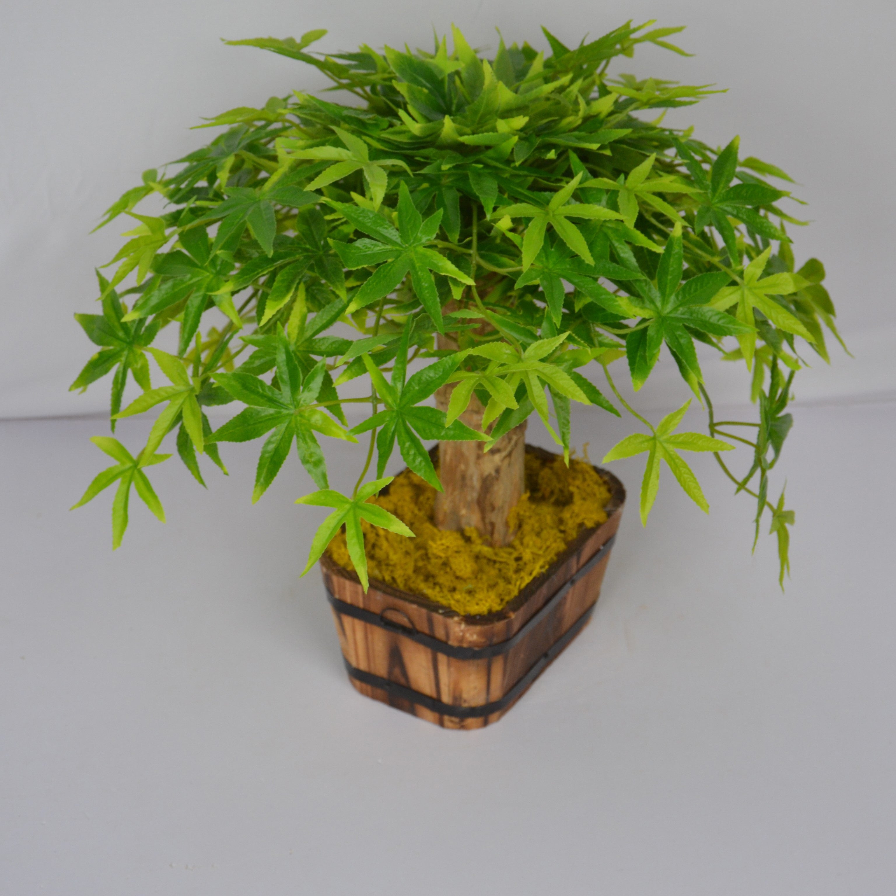 Potted plant with green leaves in a wooden basket on a plain background