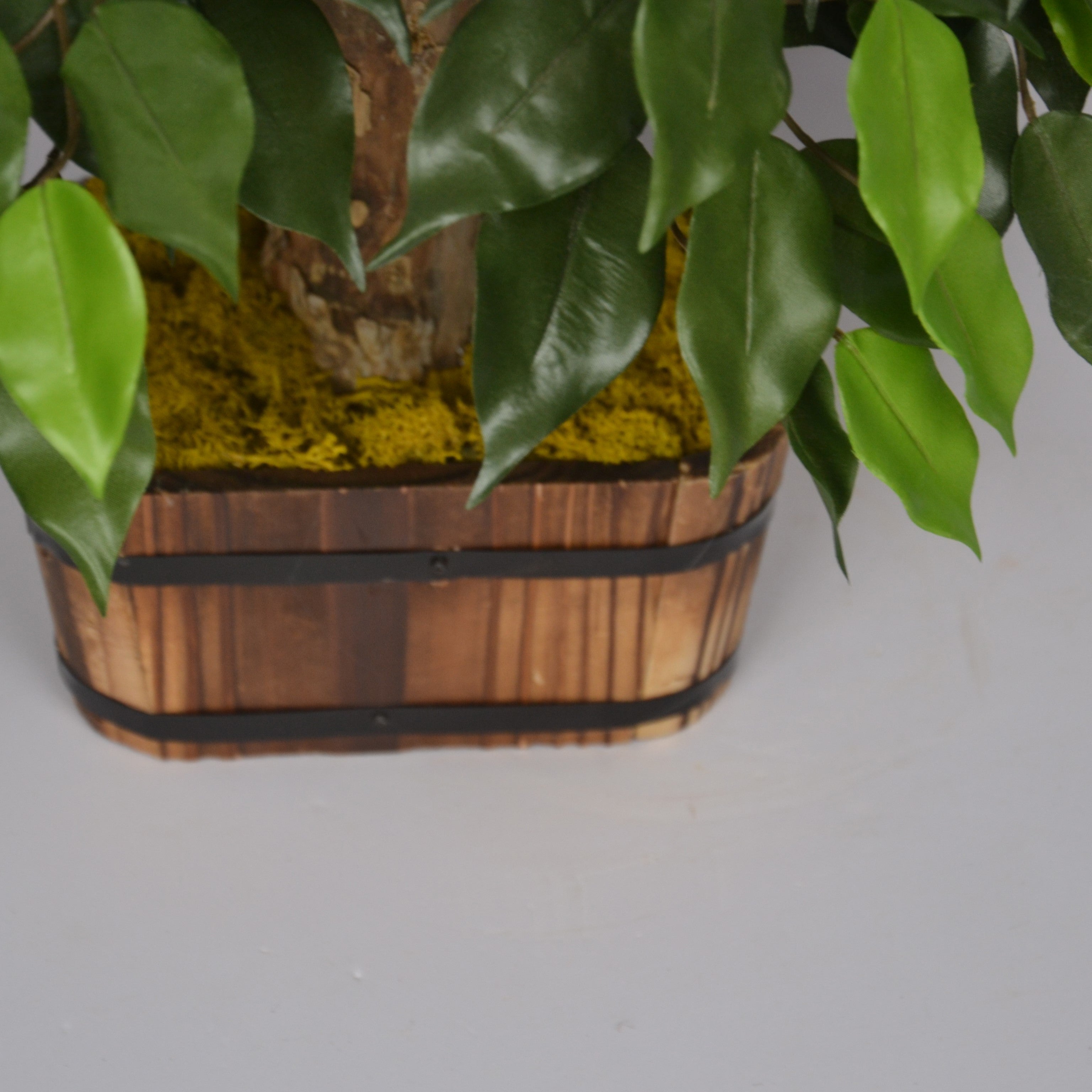 Potted plant with green leaves in a wooden basket on a white background