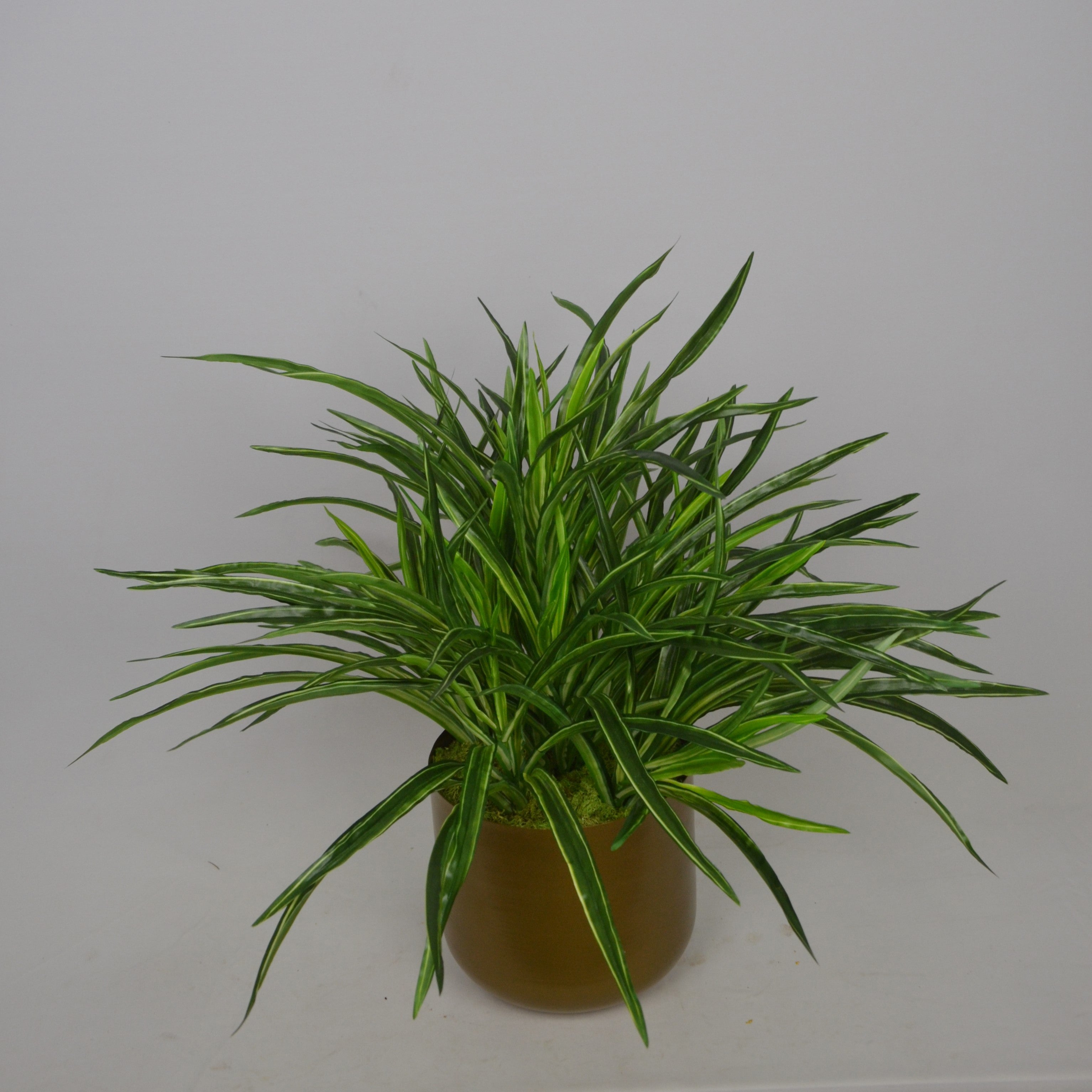 2 Ft Artificial Dracaena Plant – Lifelike Greenery with Red-Edged Leaves in Modern Decorative Metal Pot for Home & Office Décor