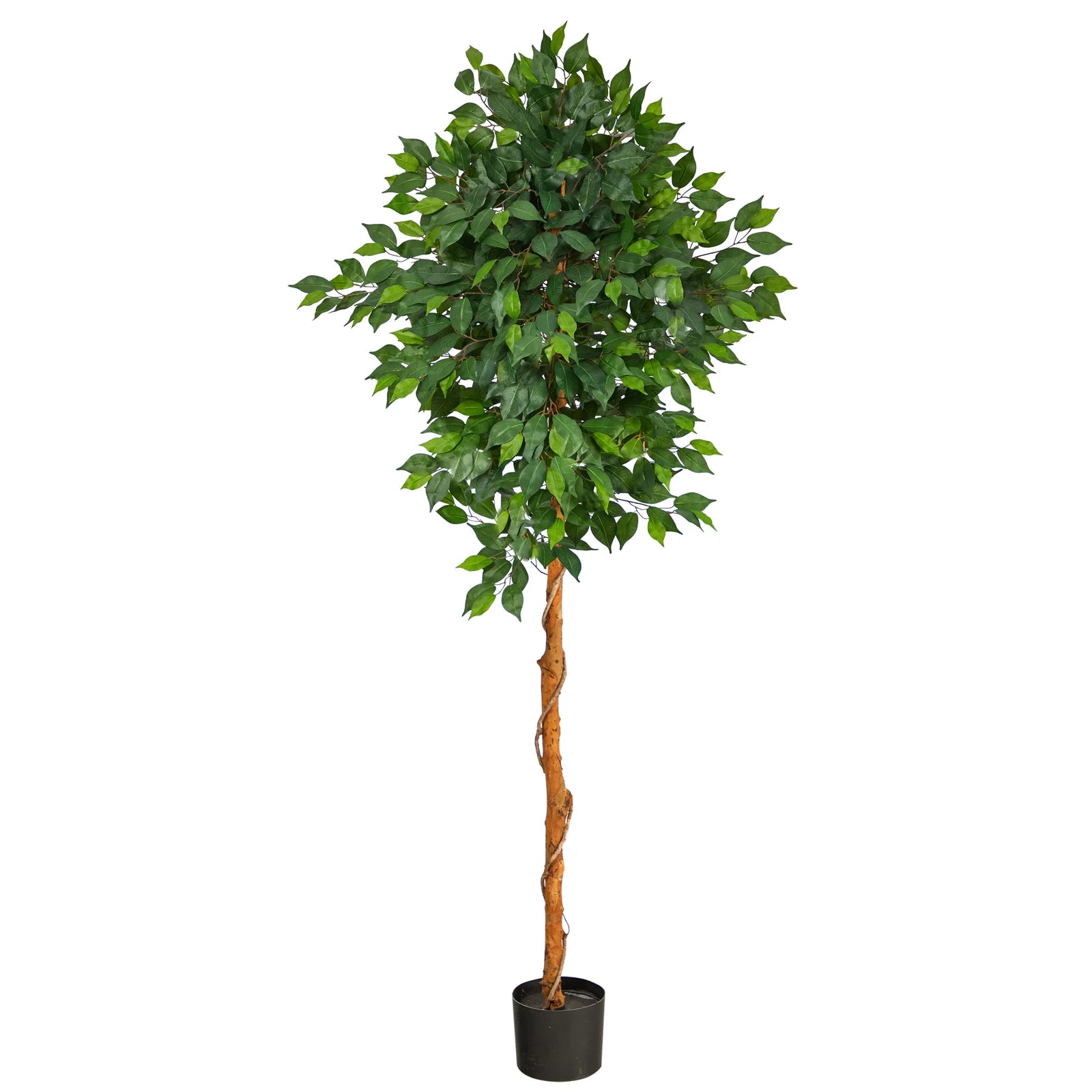 6ft artificial ficus tree with UV-resistant and waterproof foliage, perfect for indoor and outdoor spaces.