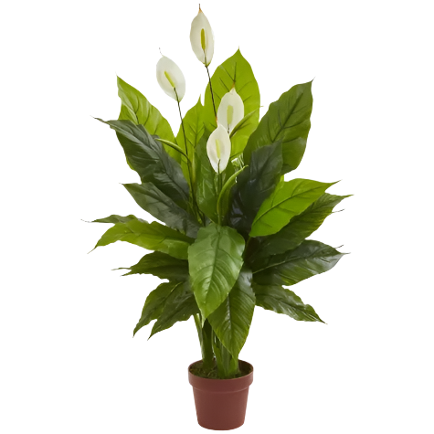 3 Ft Nearly Natural 42-in Spathiphyllum Artificial Plant (Real Touch) – perfect for modern home decor