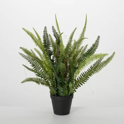 1.5 Ft Sullivans Artificial 21" Lush Black-Potted Fern, Green – perfect for modern home decor