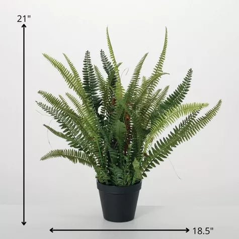 1.5 Ft Sullivans Artificial 21" Lush Black-Potted Fern, Green – adds a lush green touch to interiors