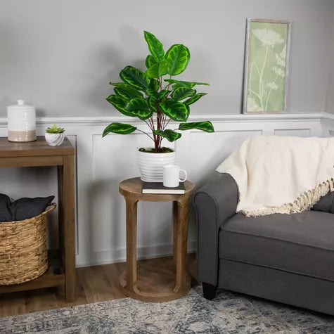 2 Ft Northlight Two-Tone Calathea Artificial Potted Plant - 30" – ideal for indoor botanical themes