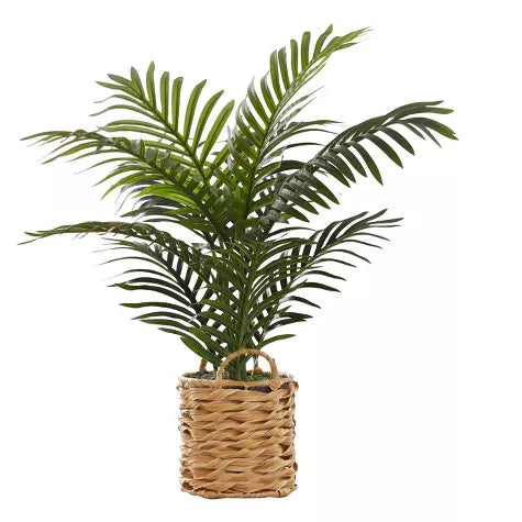 3 Ft Monarch Specialties Artificial Plant Tall Palm Indoor Faux Fake Table Floor Greenery Potted Real Touch Decorative Green Leaves Beige Woven Basket – adds a lush green touch to interiors