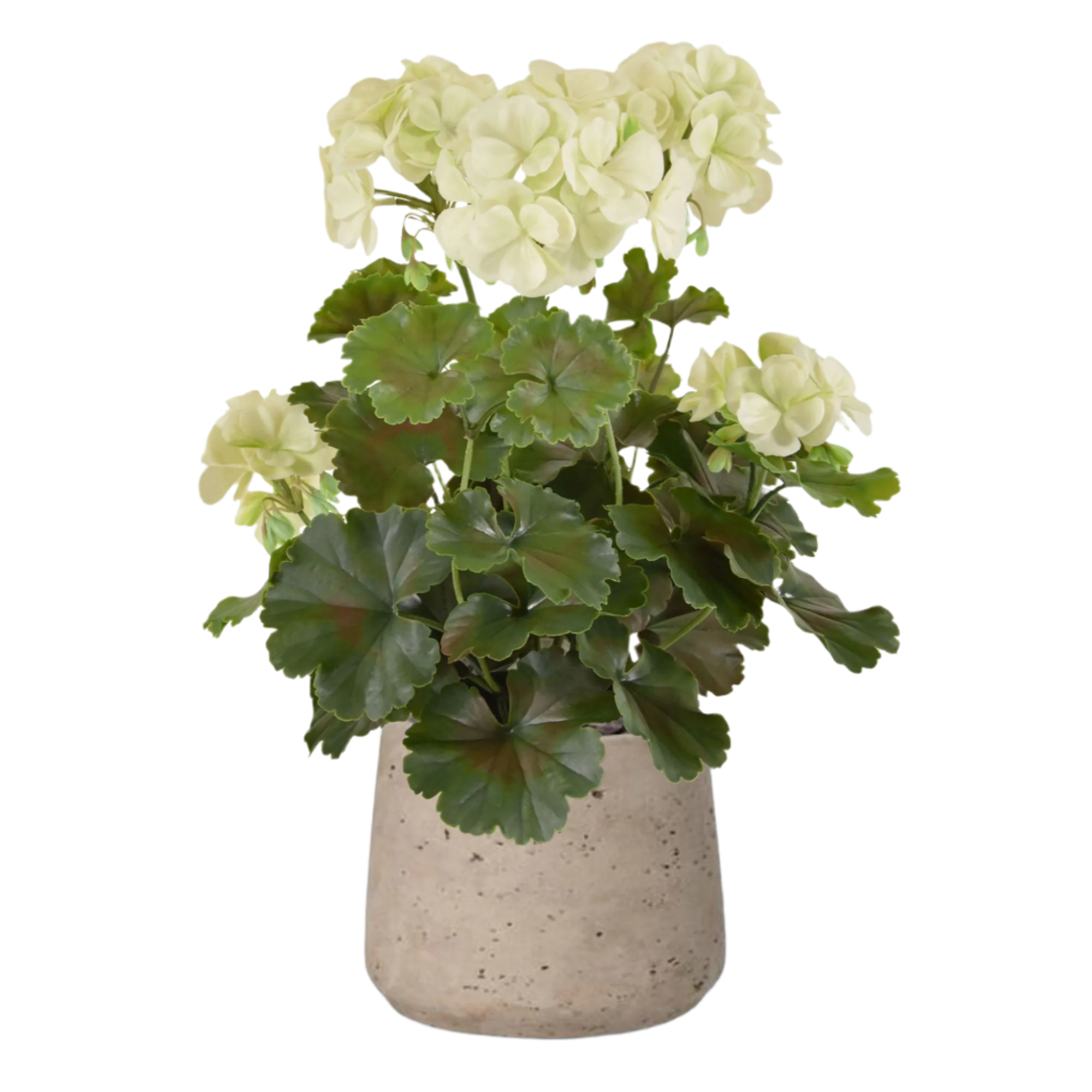 1.5 Ft Artificial Geranium PL plant 38cm cream UV proof – perfect for modern home decor