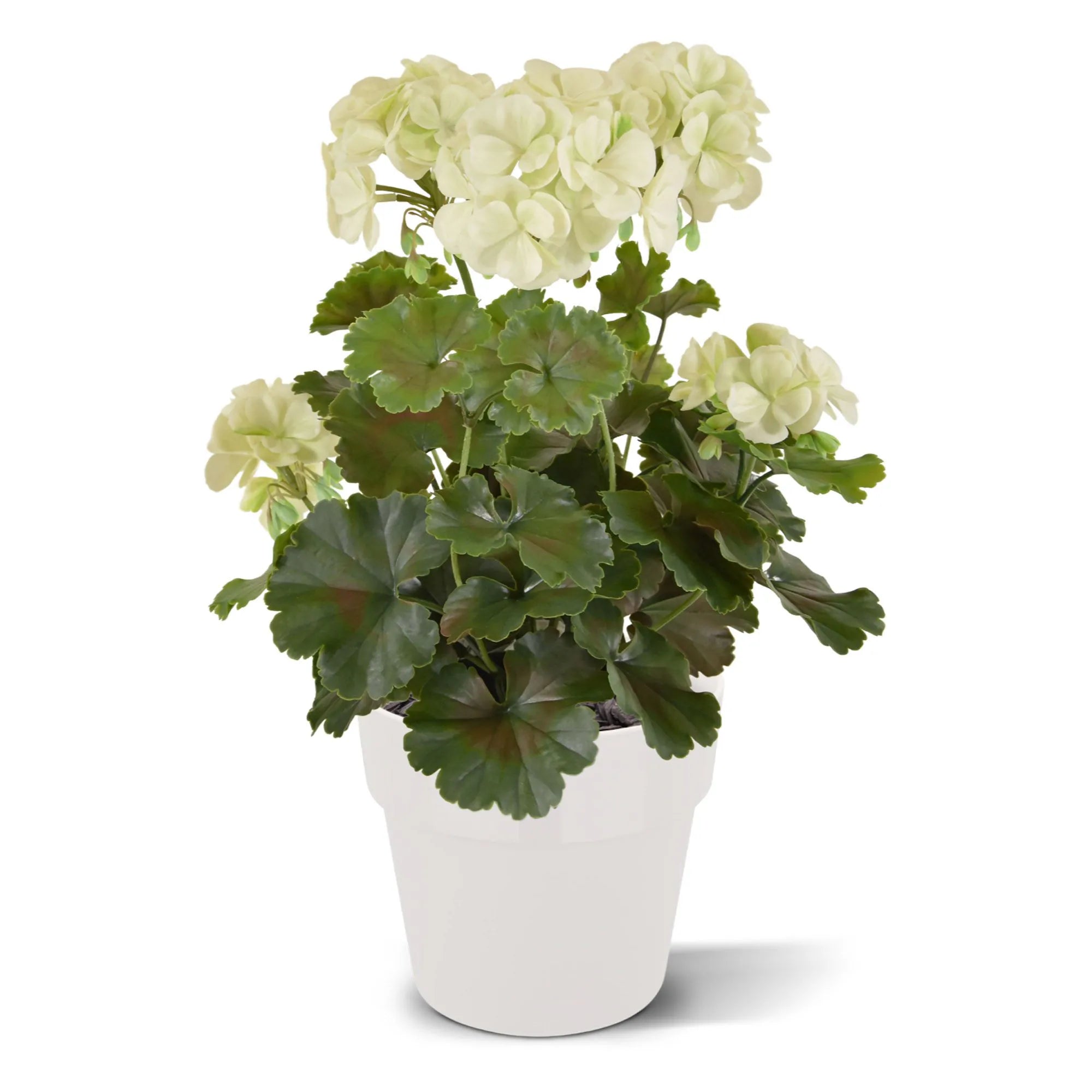 1.5 Ft Artificial Geranium PL plant 38cm cream UV proof – enhances any living space naturally