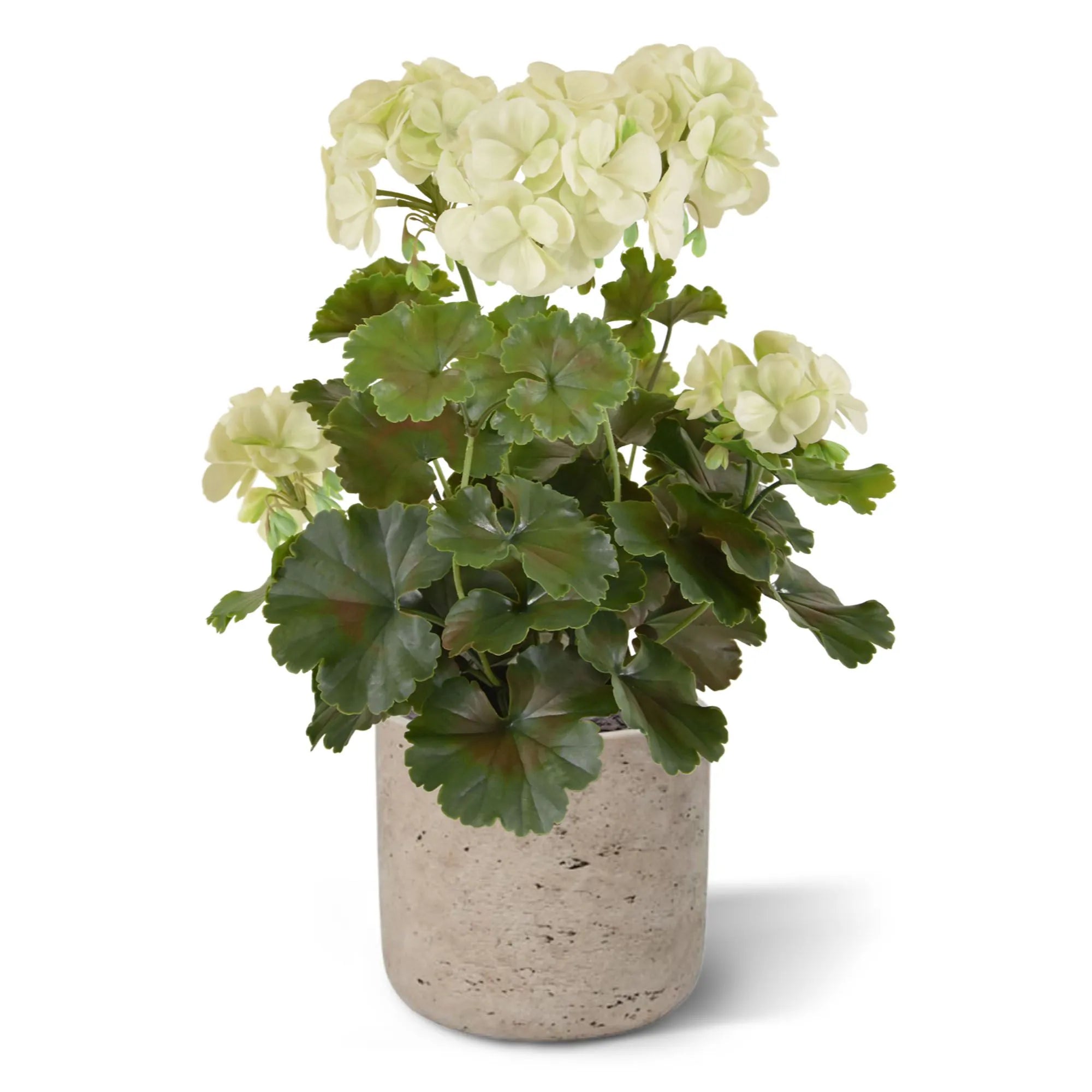 1.5 Ft Artificial Geranium PL plant 38cm cream UV proof – crafted for realistic tropical vibes