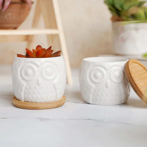 White Ceramic Owl Pot