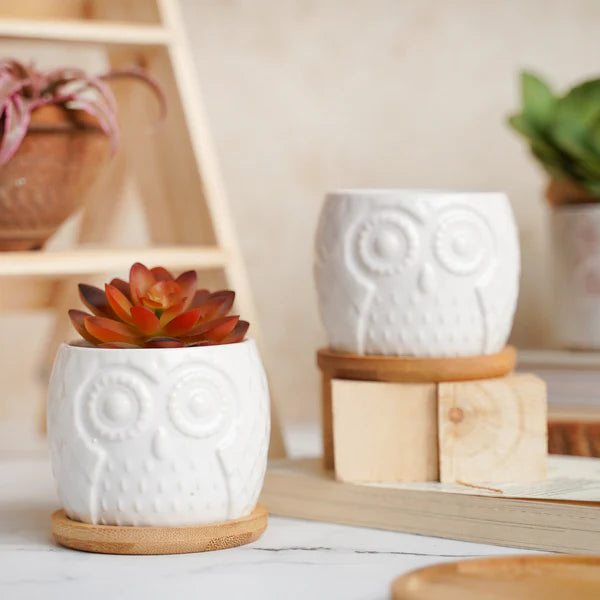 White Ceramic Owl Pot