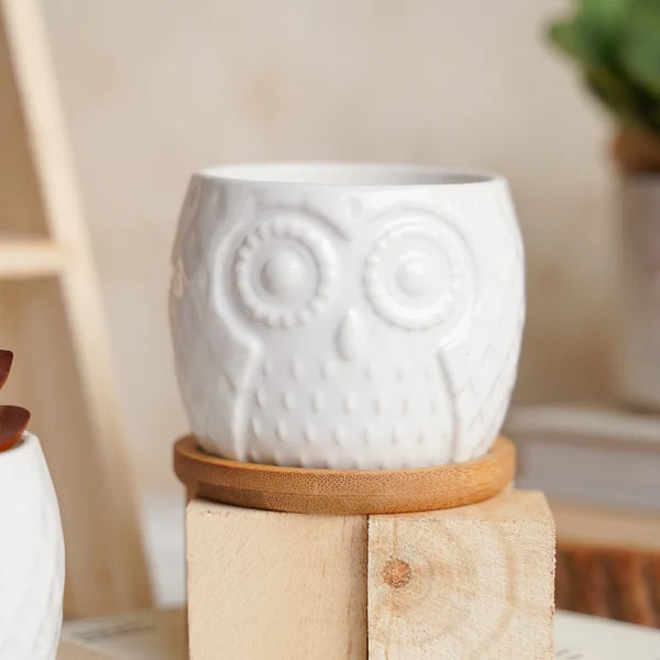 White Ceramic Owl Pot