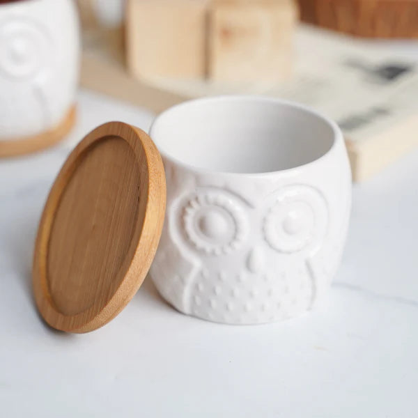 White Ceramic Owl Pot