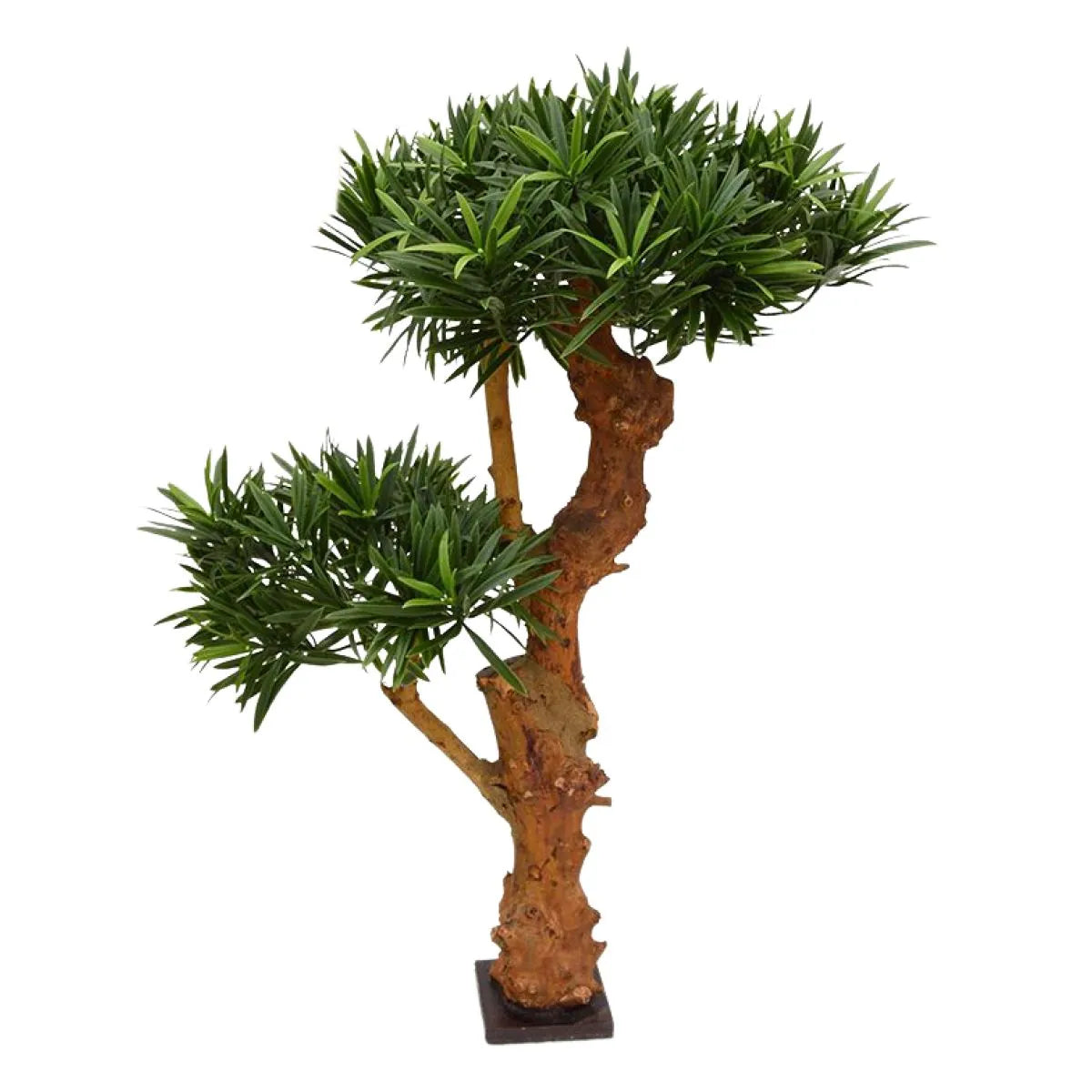 Vibrant 2 Ft UV-protected faux Bonsai tree for year-round greenery