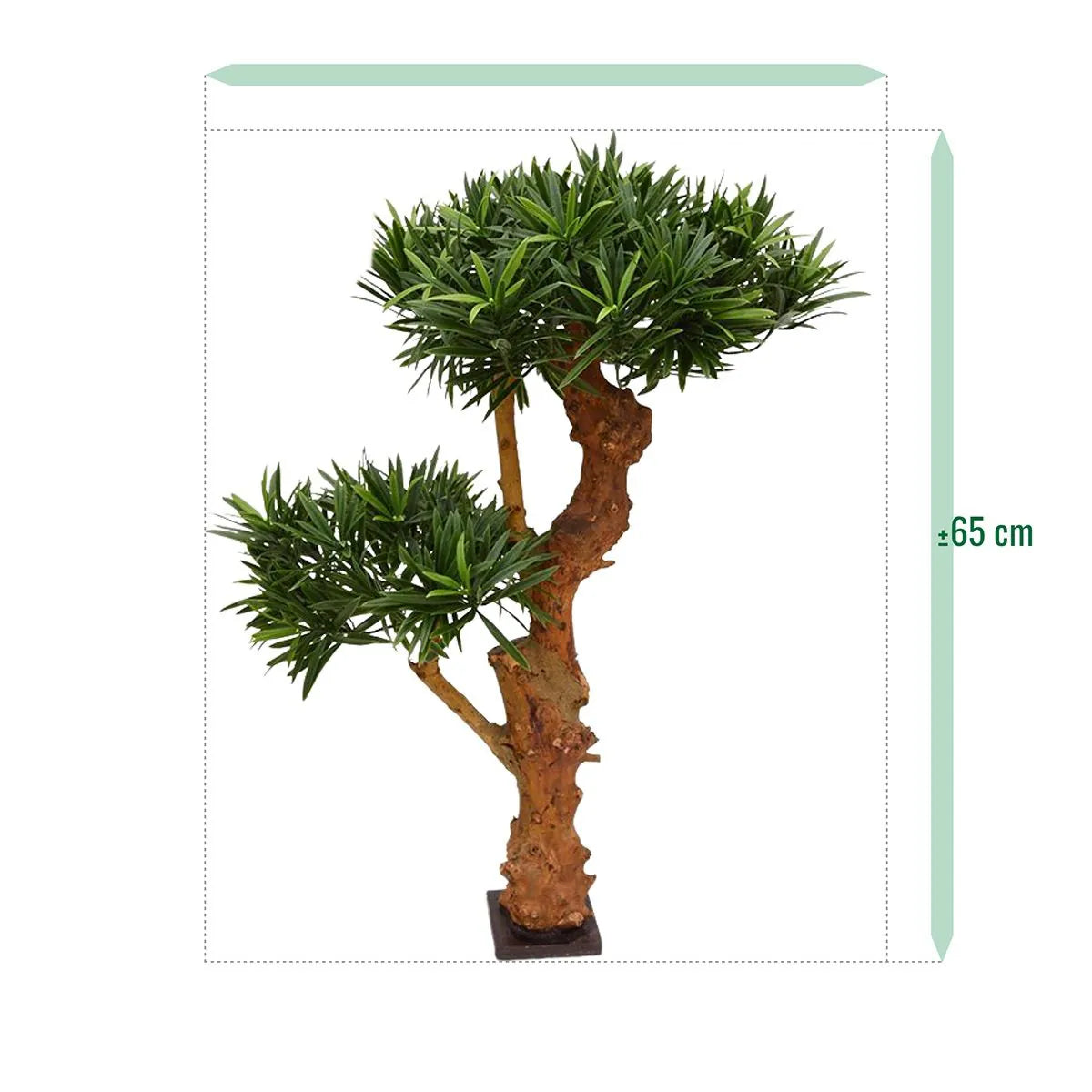 Compact 2 Ft artificial Bonsai tree with a detailed, evergreen look