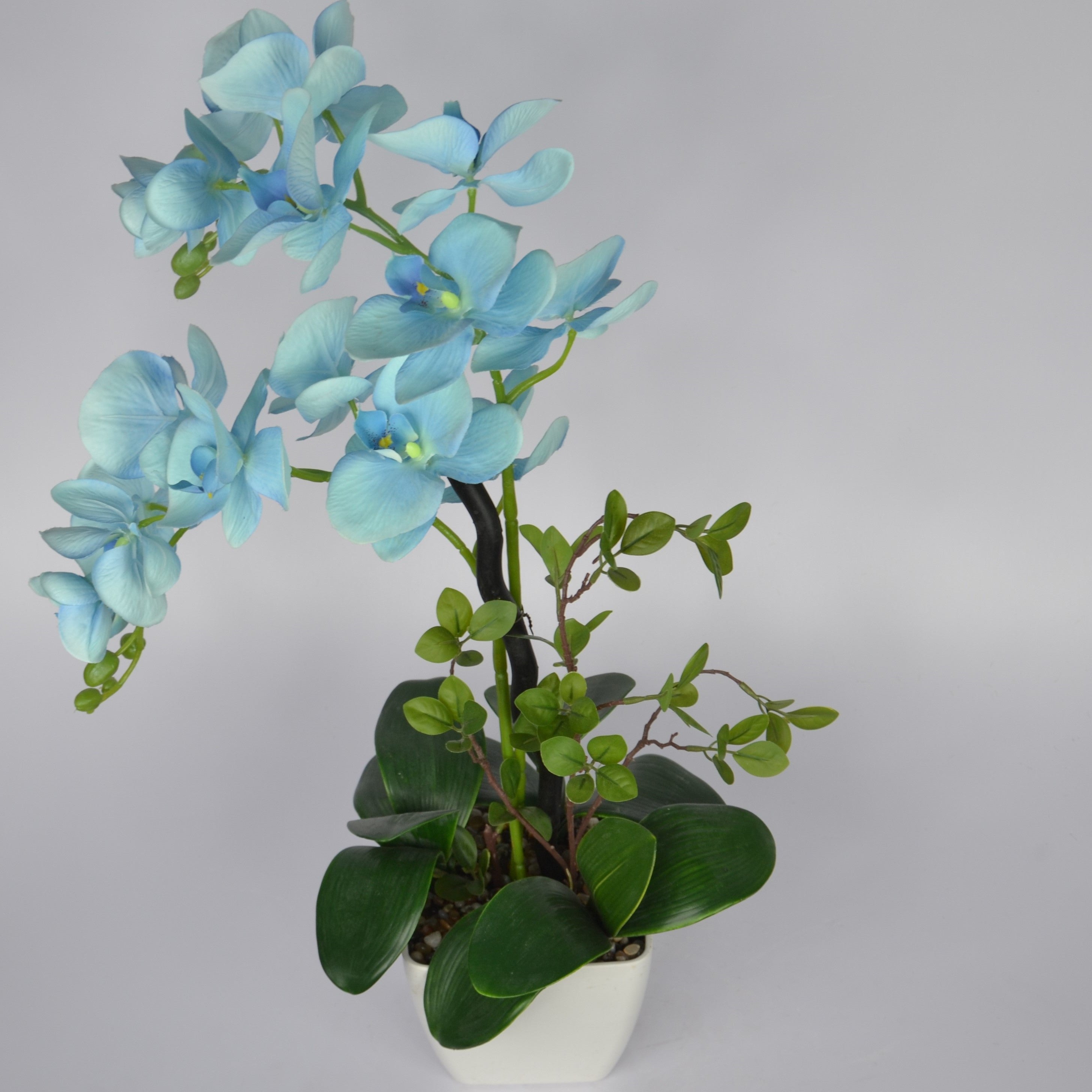 2 Ft Artificial Orchid Arrangement – Elegant Sky Blue Faux Blooms with Decorative Pot for Home & Office Décor