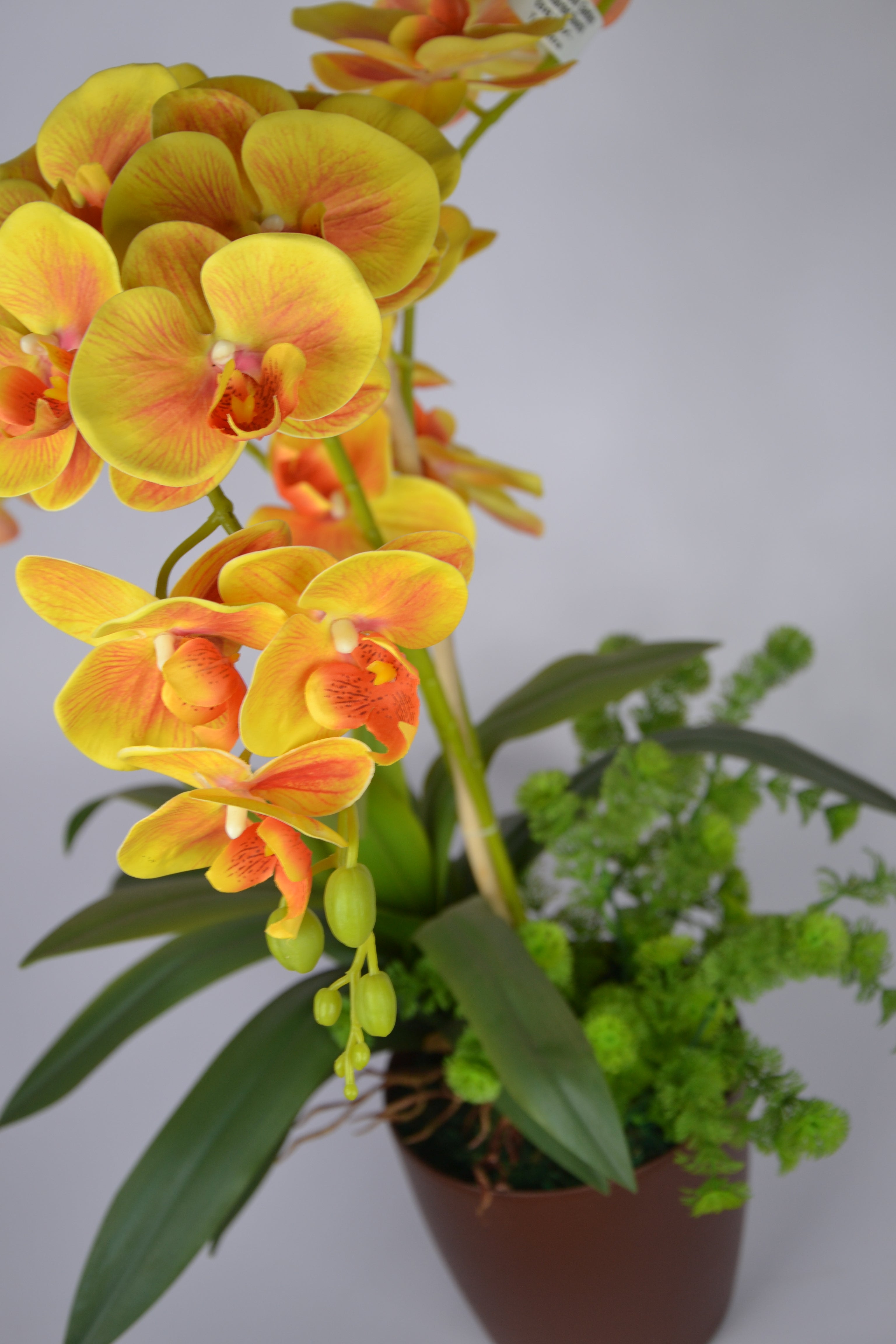 LuxiPlant 2 feet artificial yellow orchid in elegant planter for office or living room