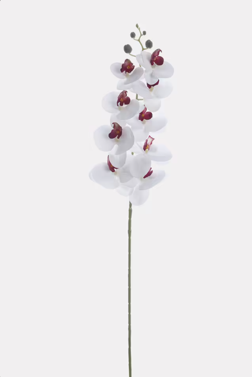 White Artificial Orchid Stem – Elegant Faux Phalaenopsis with Burgundy Centers for Home, Office & Event Decor