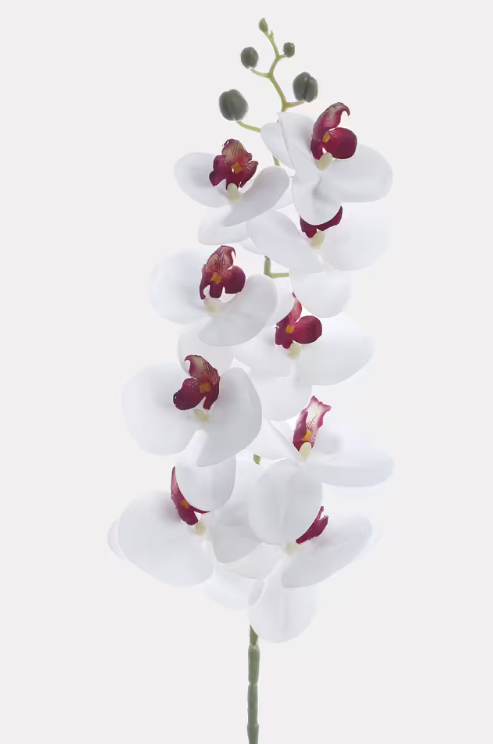 White Artificial Orchid Stem – Elegant Faux Phalaenopsis with Burgundy Centers for Home, Office & Event Decor
