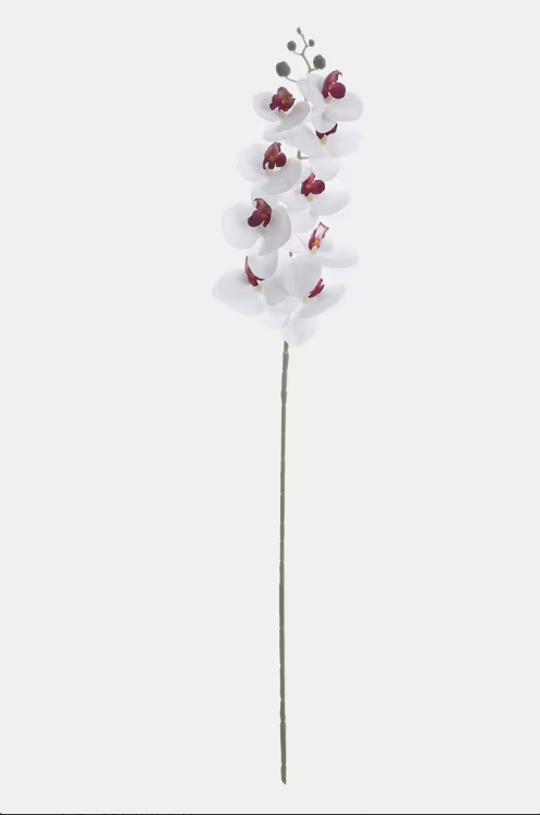 White Artificial Orchid Stem – Elegant Faux Phalaenopsis with Burgundy Centers for Home, Office & Event Decor