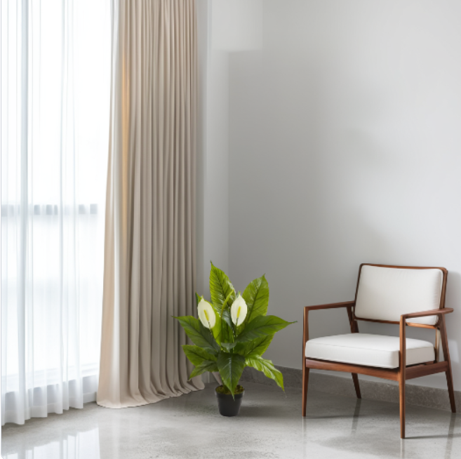 Modern chair with white cushion next to a potted plant in a room with light gray walls and white curtains.