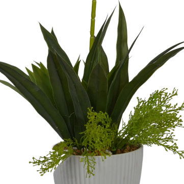 2 Ft Artificial Orchid & Yucca Arrangement – Elegant White Blooms with Lush Green Foliage in Decorative Pot for Home & Office Décor